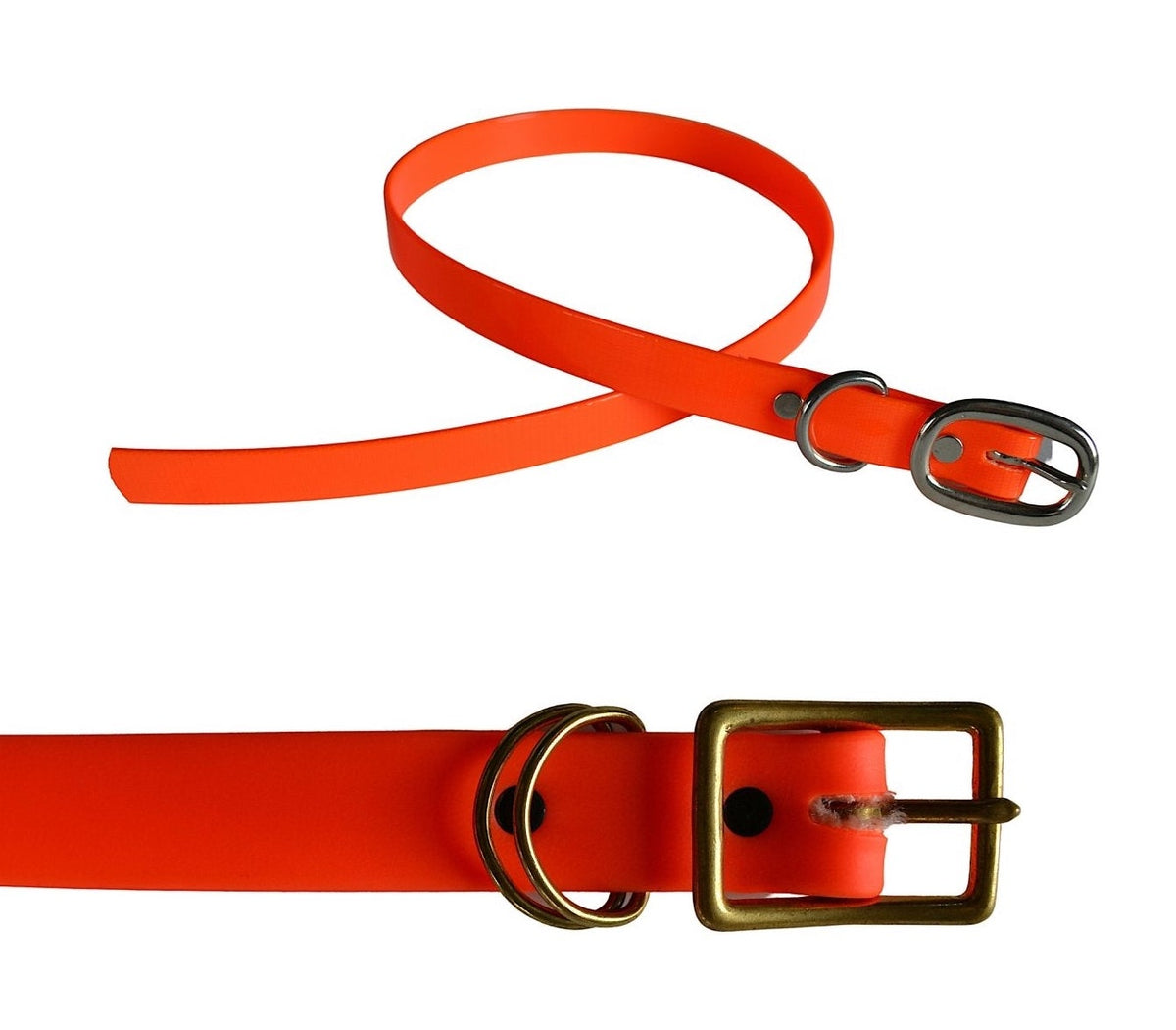 Safety orange 2025 dog collar