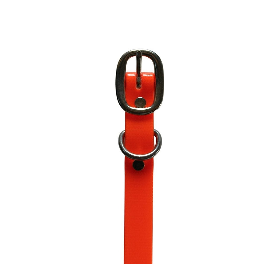 HH Safety Orange Standard Breed Dog Collar