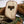 Opie Way X HH Canvas Sneaker - Mitchell Camoflauge Edition - Hudson’s Hill